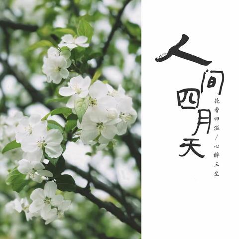 新乡硬协《春之曲》大书法网络展（九十七）
