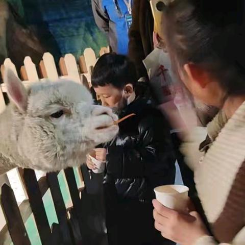 【多彩假日，快乐成长】 探索自然与童真 吉格斯太镇中心小学三年级成长之旅