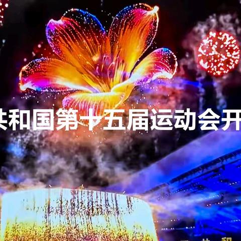 第十五届全国运动会开幕式（二）