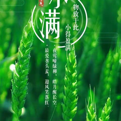 “小满小满，苦尽甘来”梅梅一轩小满节气活动