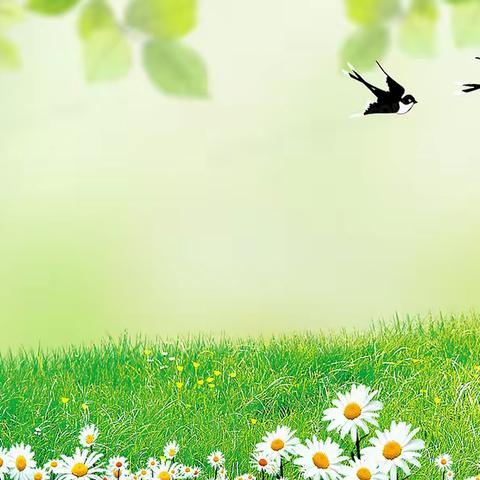 武安市林业科学技术推广站  第一期