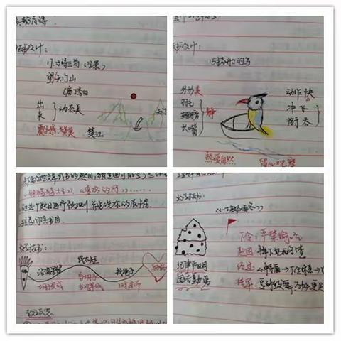 井字镇中心小学十一月份常规工作检查情况总结