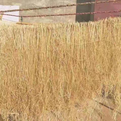 浅谈河底“红薯粉条”