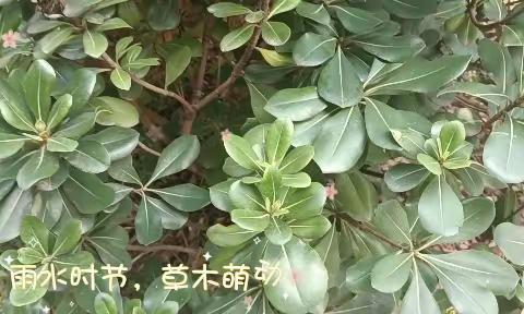 合能枫丹新里服务中心2023年2月物业服务简报