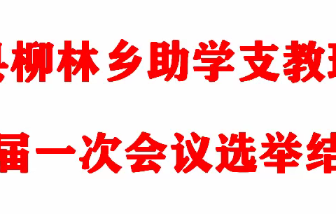 柳林乡助学支教理事会二届一次会议选举结果