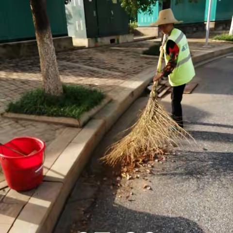 坚守岗位，做好日常环卫工作