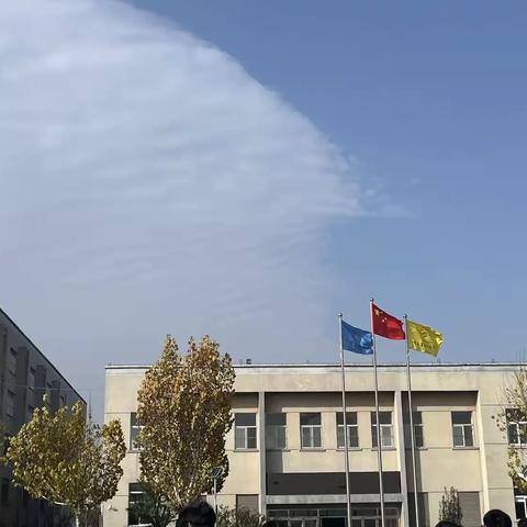 多彩校园：活力活动点亮成长之路