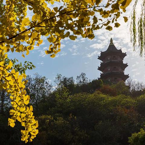 绍兴市科普摄影研究会第七组2022小组活动（七）