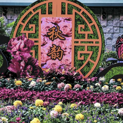 绍兴市科普摄影研究会第七组2022小组活动（八）