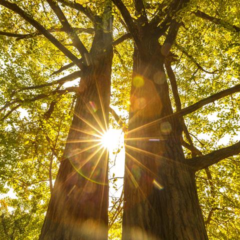 探访诸暨灵山坞