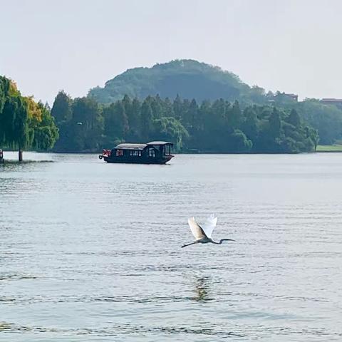 探访唐诗之路--（5）绍兴鉴湖（镜湖）