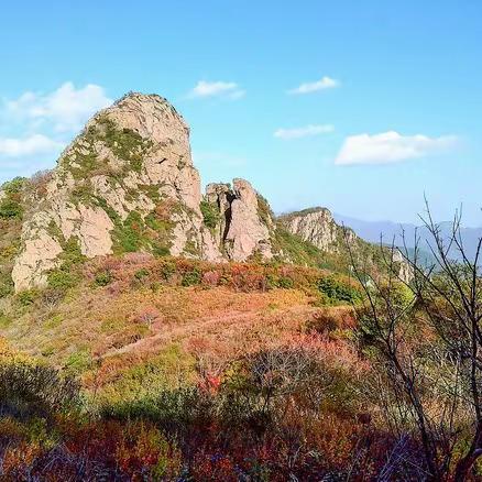 20238.26十里松间路，松声杂鸟声→凤凰坨-鳞龙山-鹞子峪城堡