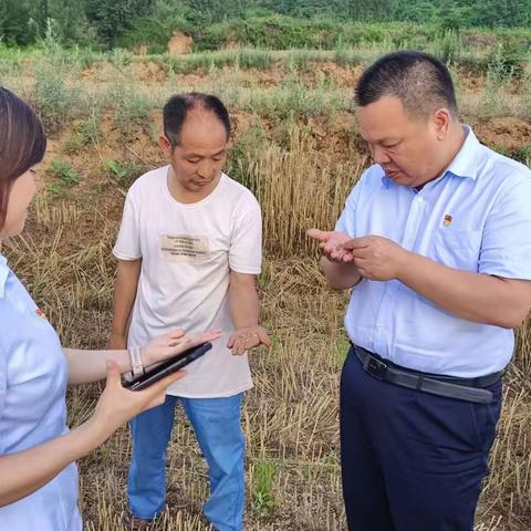 洛宁支行党支部组织党员志愿者服务队助力“三夏”抢收小麦