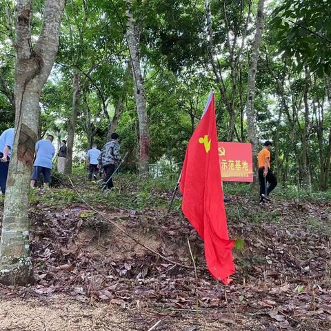 海胶立才分公司开展党日活动