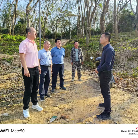 海胶集团南部片区纪检组深入立才分公司，督查冬春管施肥专项工作
