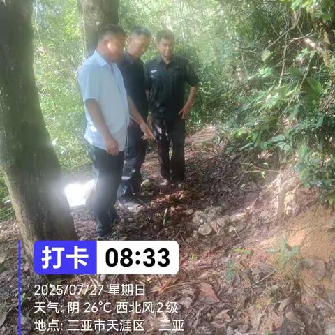 筑牢护林保胶防线！立才分公司 ‍严肃查处一起偷胶案件