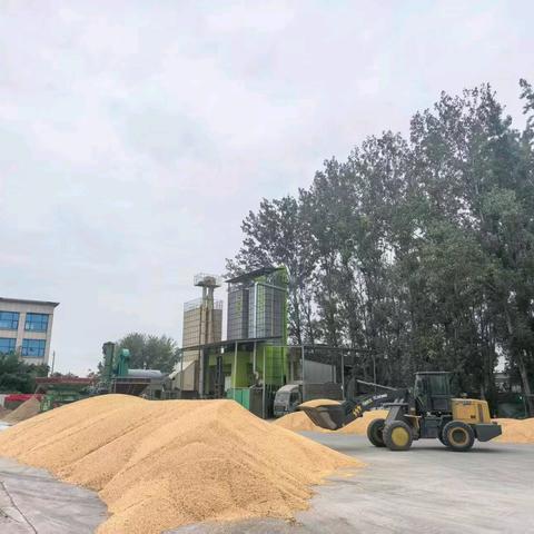 翟镇镇多措并举抢收抢烘，全力守护秋粮归仓