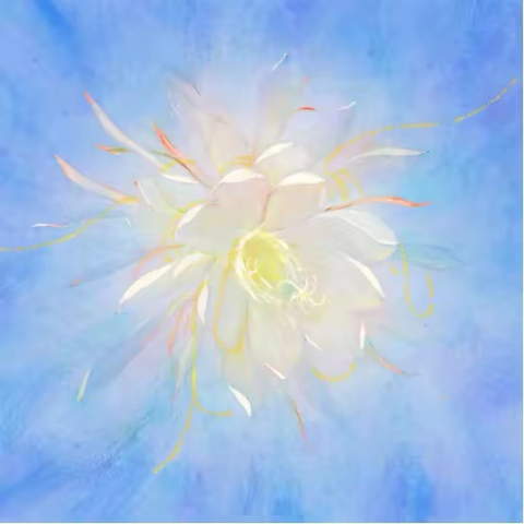 【公益美术培训】零基础也能画！平板电脑绘图公益课免费开讲啦！！！