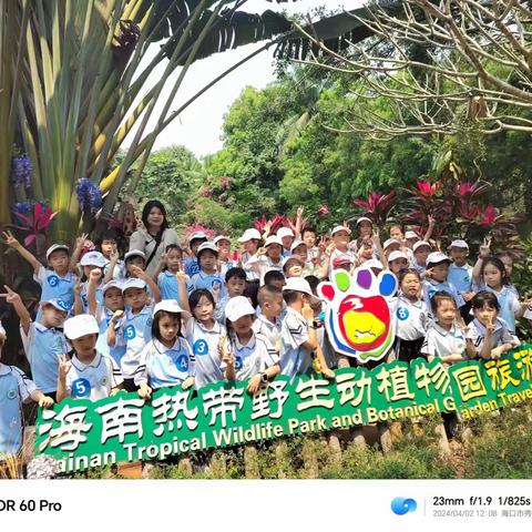 海南师范大学附属小学一二三年级 2024 年社会实践活动