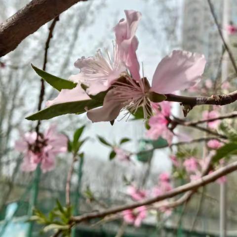 宏伟九庭23年3月工作汇报