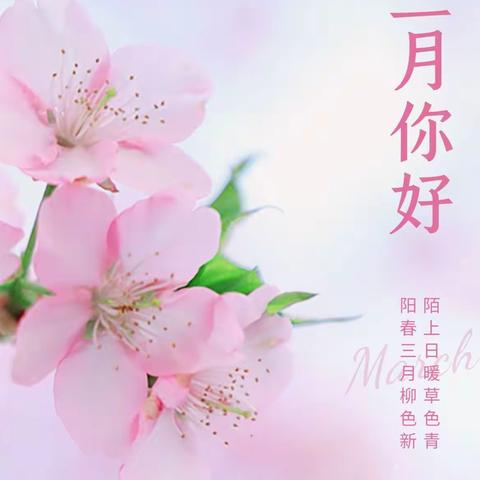 宏伟九庭24年3月工作