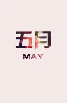 宏伟九庭24年5月工作