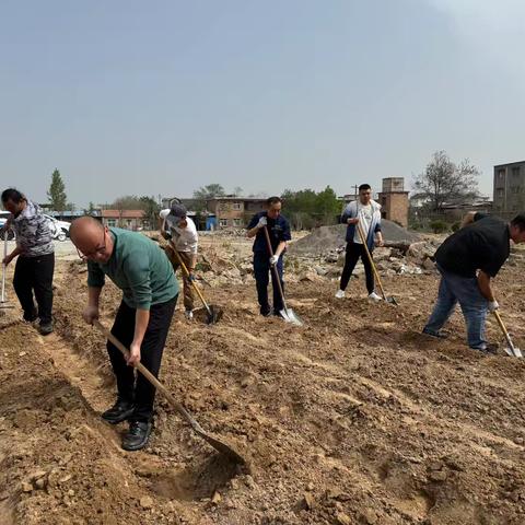 种下凝聚力，“苗”出新活力