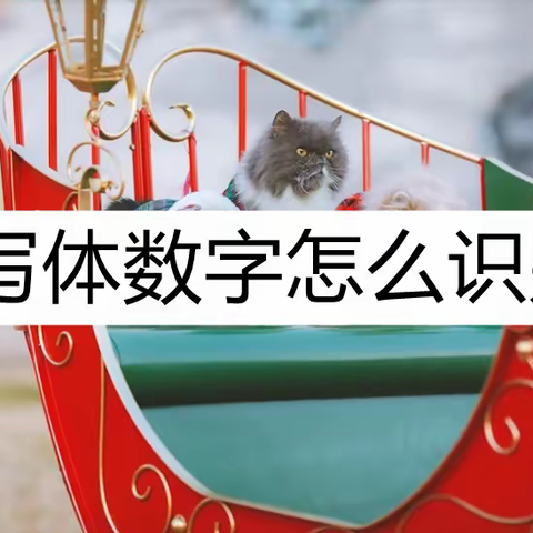 手写体数字怎么识别？教你这种识别方法