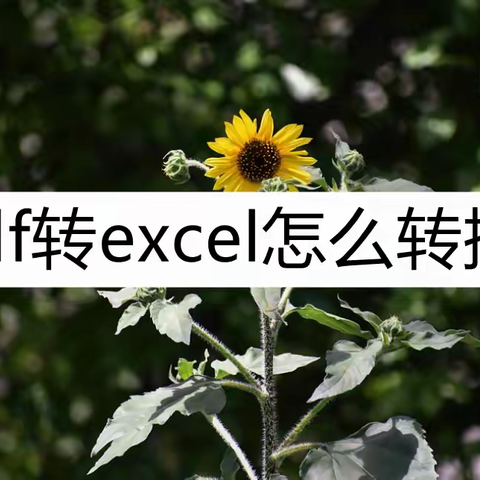 pdf转excel怎么转换？这几种转换方法了解一下