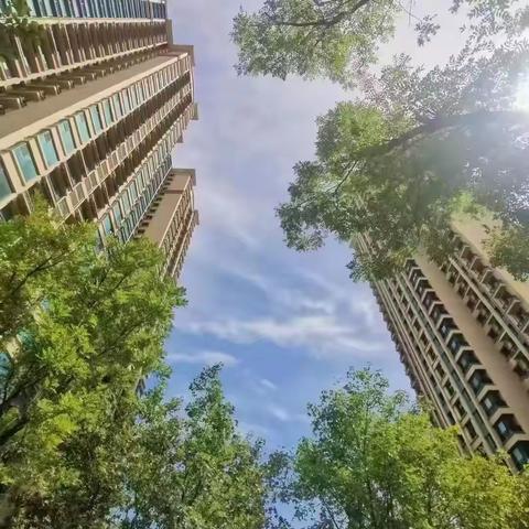 【邢台恒大帝景物业服务中心】 8月份工作简报