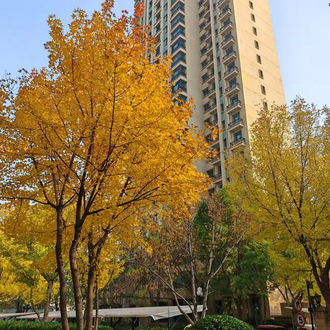 【邢台恒大帝景物业服务中心】 11月份工作简报