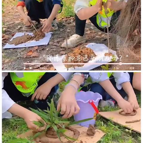 叮咚🔔海川幼儿园自然🍃🌸美育课堂🔛上线啦❗