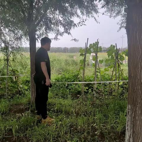 开展罂粟踏查 守护群众安全