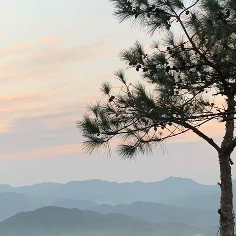 生态湖山    平安湖山请您来