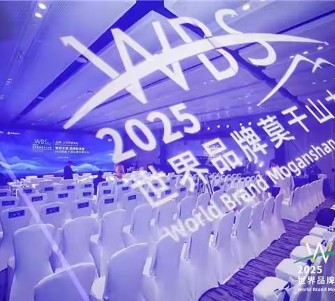 深圳神一针服务有限公司亮相2025世界品牌莫干山大会平行论坛