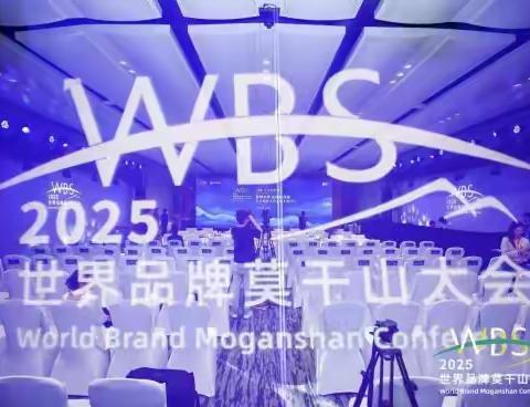 南京项美亮相世界品牌莫干山大会:科技赋能文旅品牌发展论坛