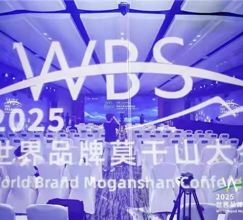 品质铸标杆!迅华实业亮相莫干山大会-科技赋能文旅品牌发展论坛