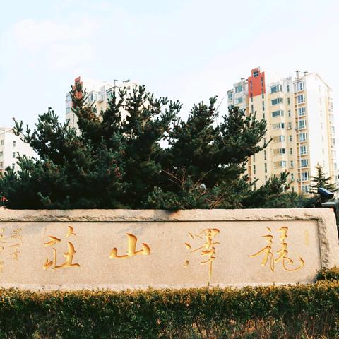 龙泽山庄第一季度工作汇报