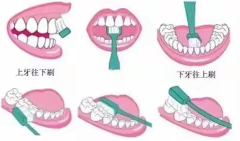 中班12月27日快乐学习