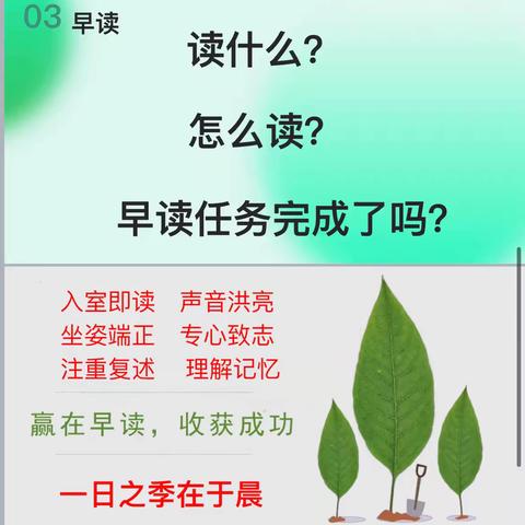 “书声朗朗 不负晨光”——临沂第二十中学双龙校区七二分部“早读现场会”