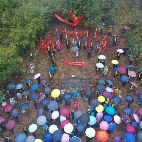 江西龙南祭祖活动纪行 陈仰天