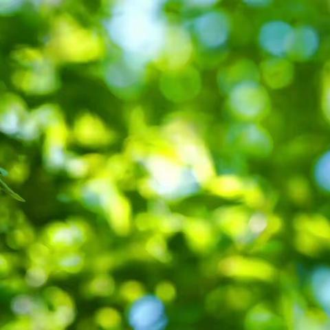 “少年初成长，自在怡如风”————冷水江市一（七）班暑期生活总结