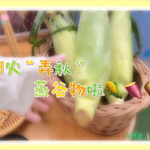 中二班食育课程《玉米弄秋》