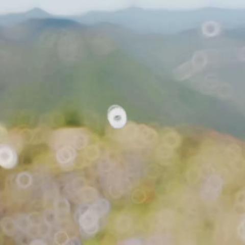文笔峰保姆级导航