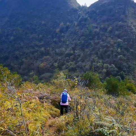 周末登山好去处