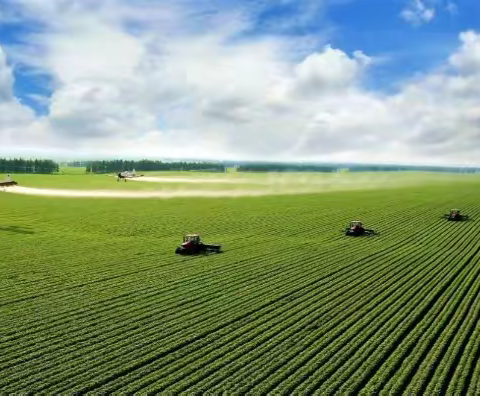 革命精神代代传