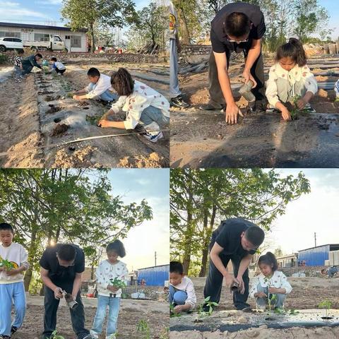 【和雅十五·教学】石榴花开满校园  劳动精神助梦想