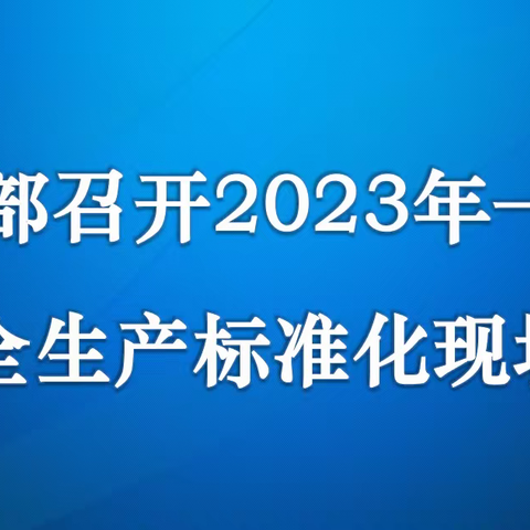 书写迈向本质安全的“标准答卷”——电力部2023年一季度安全生产标准化现场会侧记