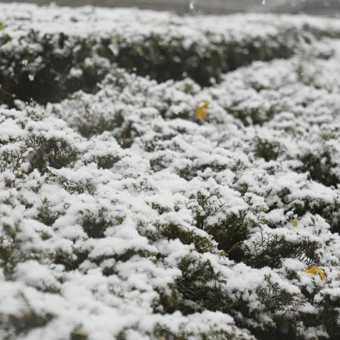 下雪与火锅都要-贵州人冬天有多会玩？