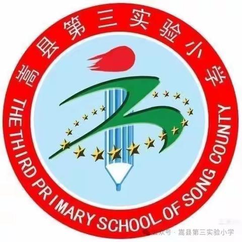 向阳而生    逐光而行——嵩县第三实验小学三一班2023—2024学年第一学期班级期末总结